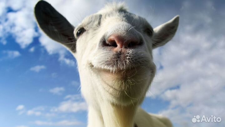 Goat Simulator на PS4 и PS5