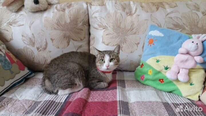 Нежная красавица - молодая Милаша в дар