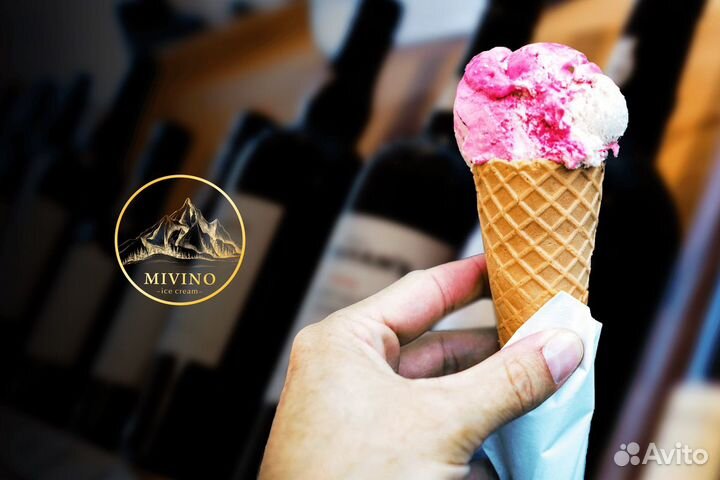 Бизнес сфере крафтового мороженого с 