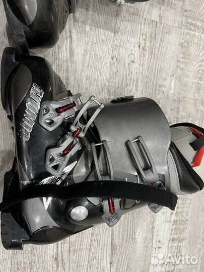 Горнолыжные ботинки