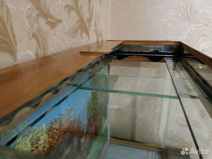 Аквариум для рыб, 100 л