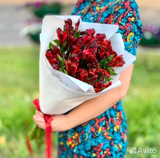 Альстромерии. Свежие Букеты. Доставка/Самовывоз