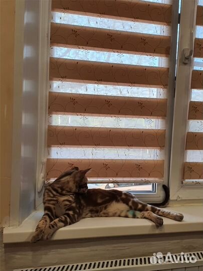 Рулонные шторы блэкаут