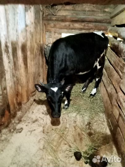 Частное лицо