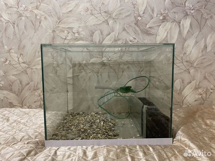 Аквариум/Террариум