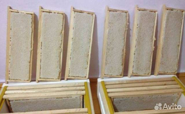 Мед в сотах/Сотовый мёд 2023 года