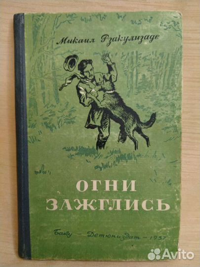 Книга Огни зажглись