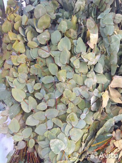 Массаж,банными вениками