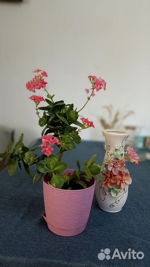 Декор для дома