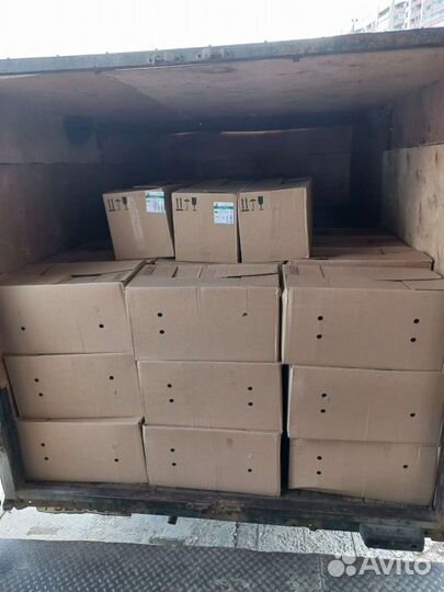 Переезд,вывоз мусора,грузчики,цена договарная