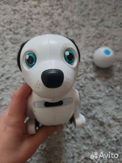 Собака робот ycoo silverit