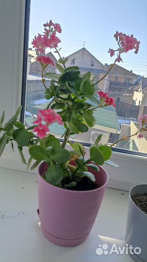 Декор для дома