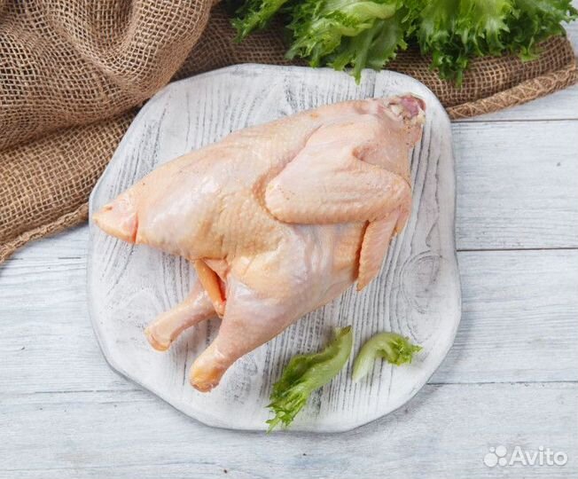 Куры-несушки