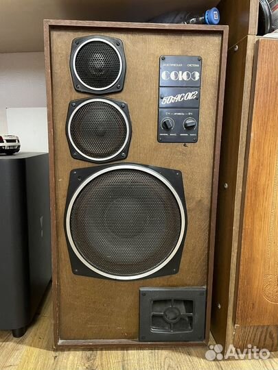Акустические колонки Союз 50 ас 012
