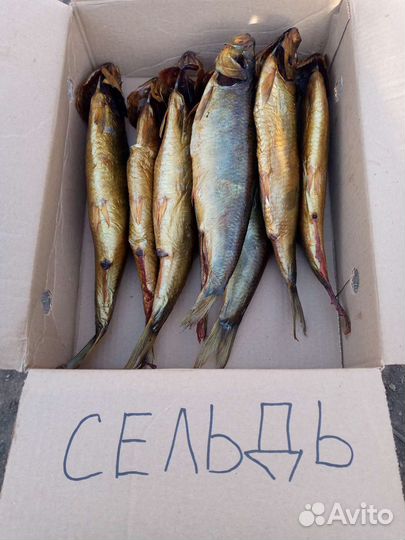 Копчёная рыба х/к