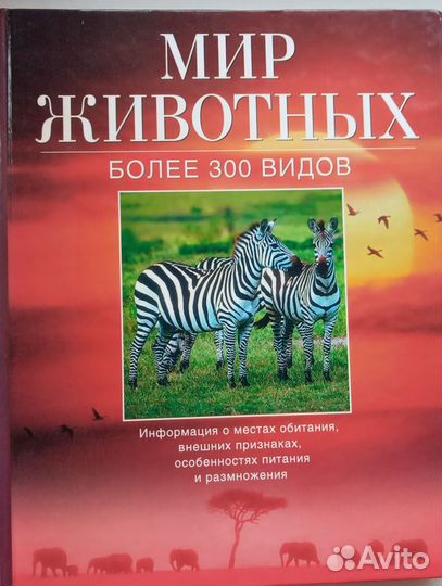 Мир животных