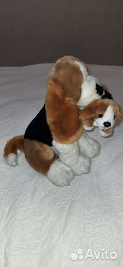 Собака Йомико гончая с щенком