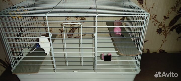 Клетка для грызунов