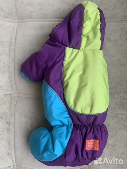 Одежда для собак