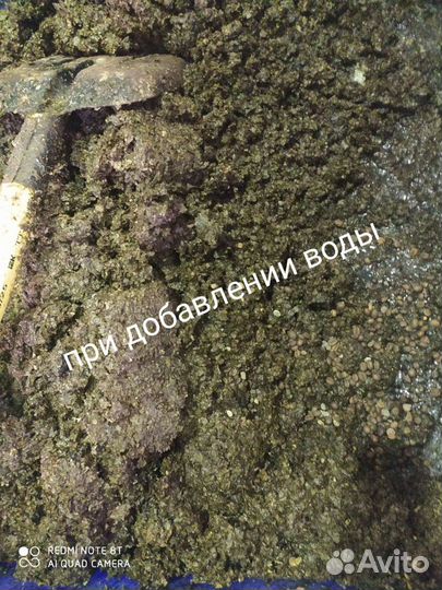 Шелуха кофейный