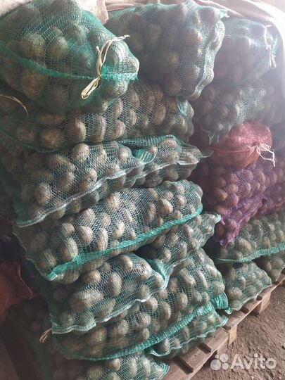 Продам картофель