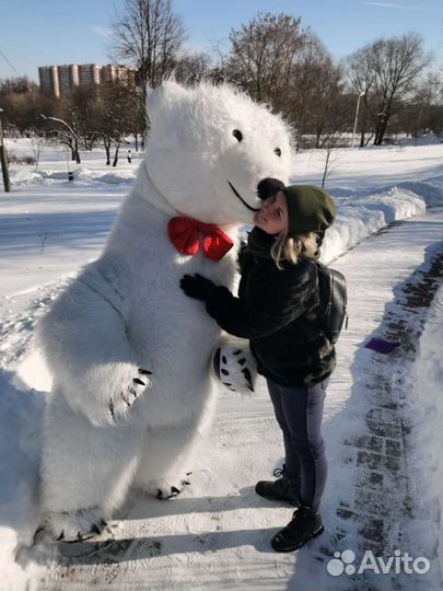 Белый мишка поздравление