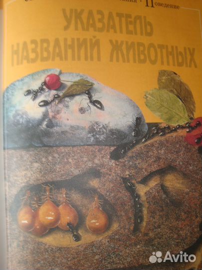 Книга Мир животных