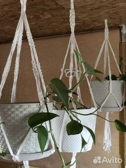 Кашпо для цветов