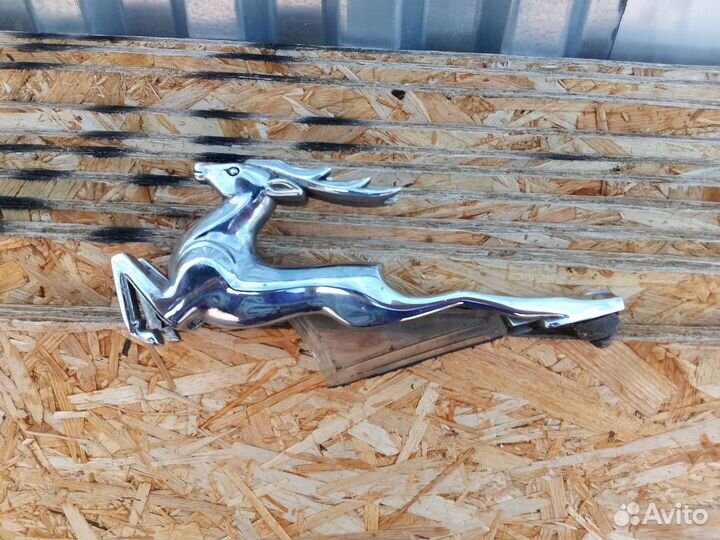 Олень на Волгу 21