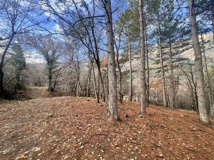 Участок 6 сот. (ИЖС)