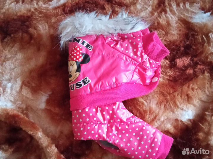 Одежда для маленьких собак xs