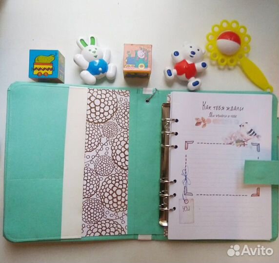 Альбом малыша Бэбибук