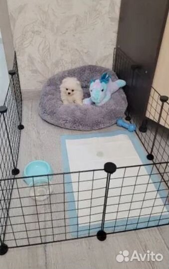 Вольер для собак