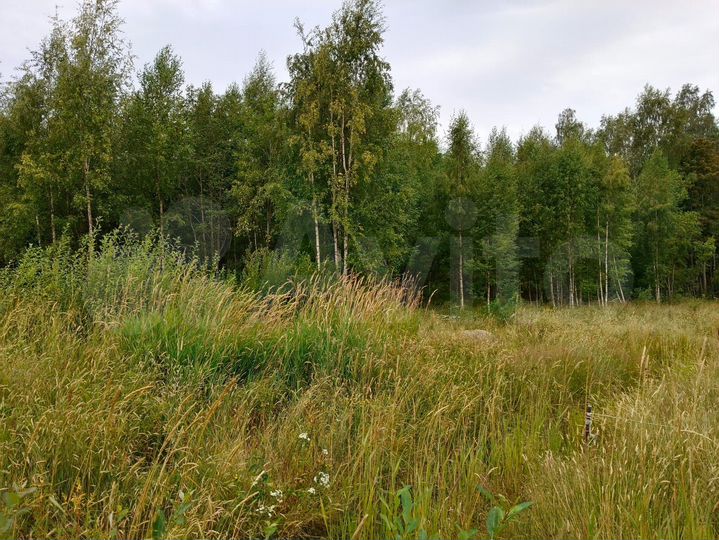 Участок 18,7 сот. (СНТ, ДНП)