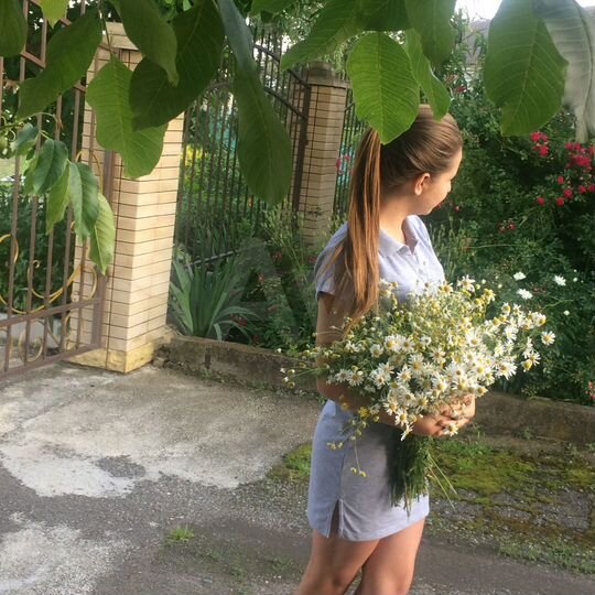 Коттедж 86 м² на участке 5 сот.