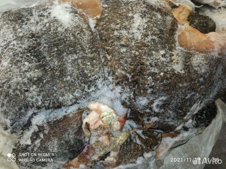 Мясо для собак