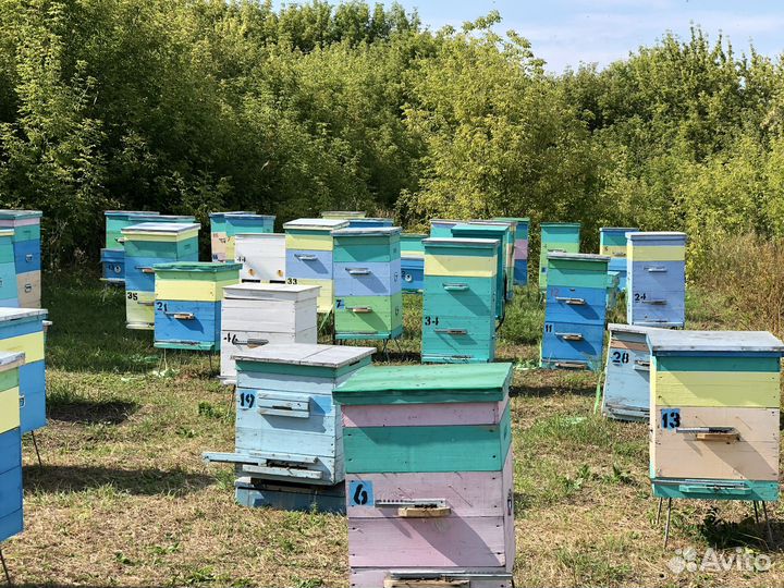 Аккураевый мед