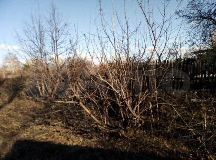 Участок 7 сот. (СНТ, ДНП)
