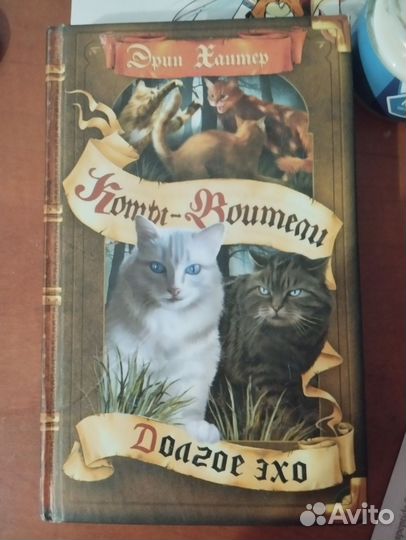 Коты-Воители Долгое Эхо (дефект)