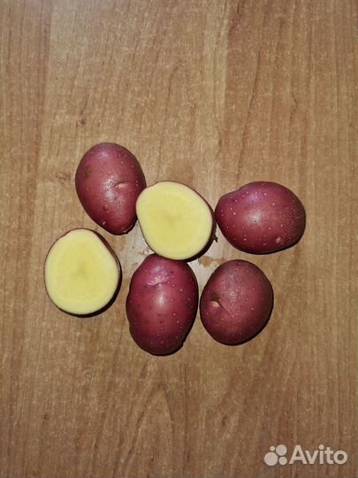 Семенной картофель оптом