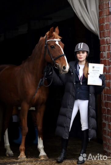 Конные прогулки/обучение верховой езде