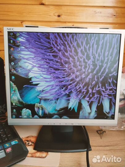 Монитор NEC 19
