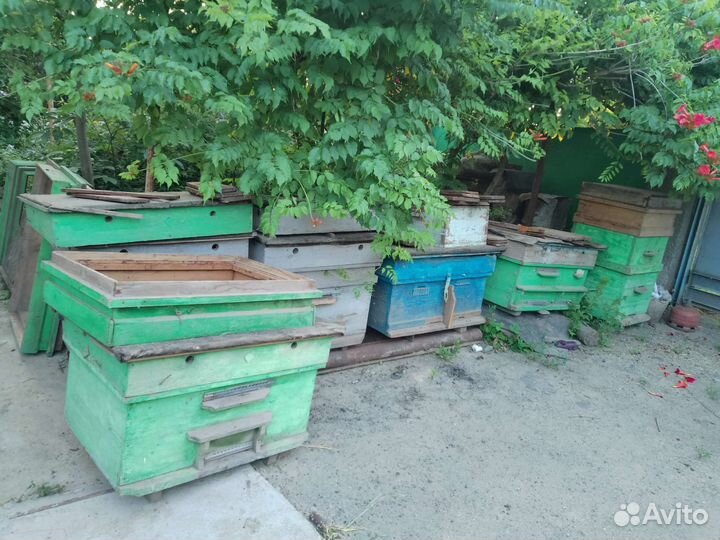 Улей для пчел бу