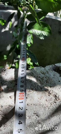 Бетонные кольца