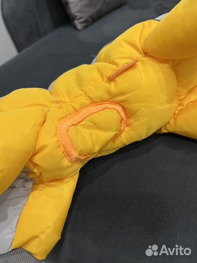 Одежда для маленьких собак зимняя