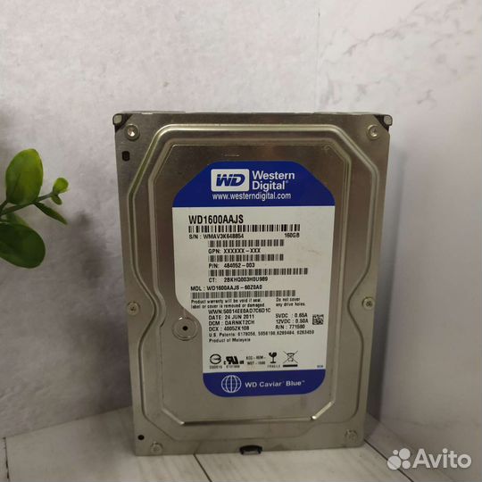 Жесткий диск Wd 160гб