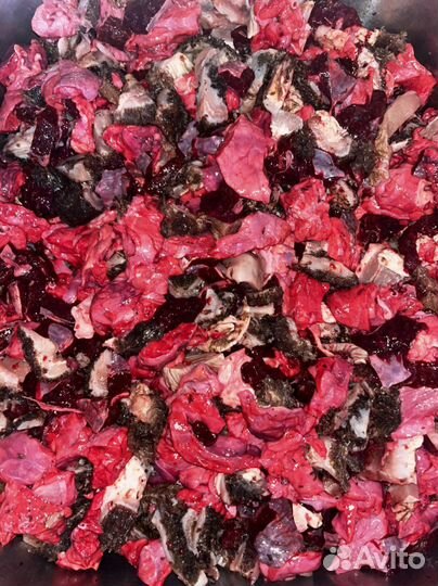 Говяжья обрез, рубец, легкое