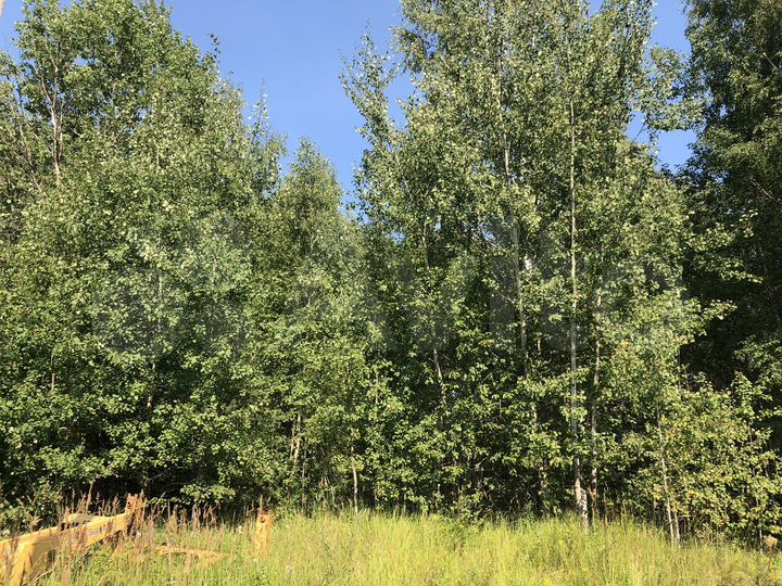 Участок 15 сот. (ИЖС)