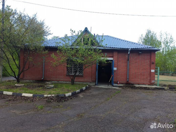 Постой лошадей в Крылатском