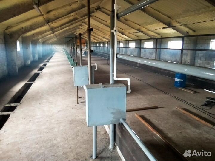 Поилки для крс (Монтаж по всей России)